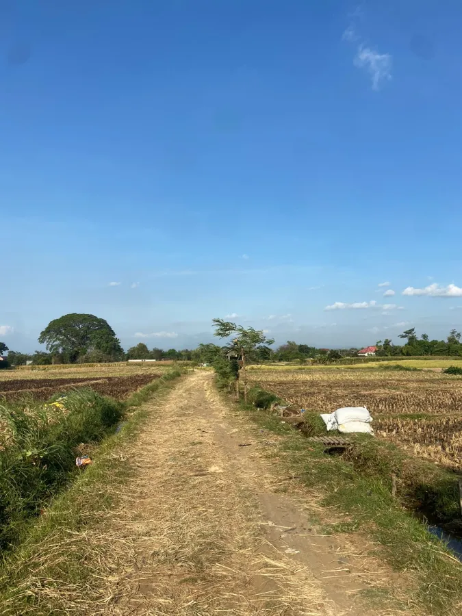 LAHAN SAWAH POTENSIAL AREA SEMEN KEDIRI - Foto 5